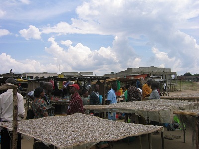 Emerging fisheries